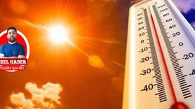 Aşırı Sıcaklar ve Sağlık Sorunları
