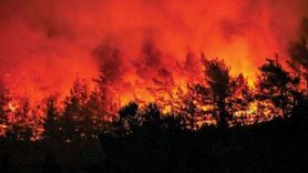 Hava Kirliliği ve Orman Yangınları Kalp Sağlığını Nasıl Etkiler?