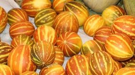 Mardin'deki Semt Pazarında Organik Ürünlere Yoğun Talep