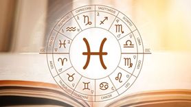 İkizler Erkeğinin İş Hayatı ve Balık Erkeğinin İş Hayatı