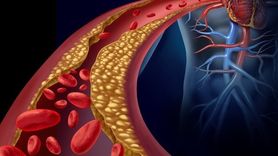 Kötü Kolesterolü Düşürmeye Yardımcı Besinler