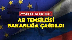 AB Temsilcisi Martin Selmayr'in Avusturya'nın Rusya'dan Gaz İthalatını Eleştirmesi Tepkiyle Karşılandı