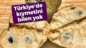 Çerimoya Meyvesi: Tüketimi ve Sağlık Faydaları