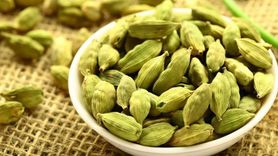 Kakule Bitkisi: Bilinmeyen Özellikleri ve Faydaları