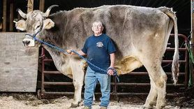 Guinness Rekorlar Kitabı 2024 Yeni Basımında Yer Alan Rekorlar