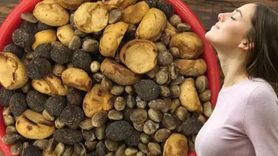 Menengiç Kahvesi: Eşsiz Aroma ve Sağlık Faydalarıyla Bilinen Bir İçecek