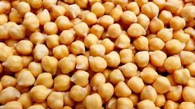 Leblebi: Faydaları ve Kilo Kontrolünde Etkisi