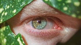 Şahin Gözleri İçin En İyi 6 Besin