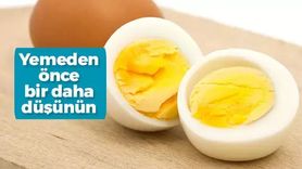 Yumurta Tüketimi ve Sağlık İlişkisi