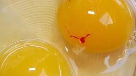 Yumurtaların İçindeki Lekeler ve Sağlık Açısından Önemi