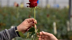 Isparta’da Gül Fiyatlarına Şok Zam