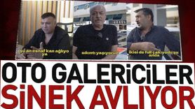 Oto Galericiler Sinek Avlıyor