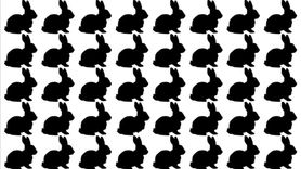 Görsel Zeka Testi: Farklı Nesneyi Bulma