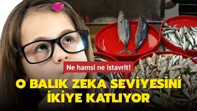 Omega-3 ve Palamut Balığının Zeka Gelişimine Etkisi