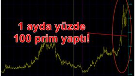 Federal-Mogul İzmit Piston ve Pim Üretim Tesisleri AŞ (FMIZP) İşlemlerinde Manipülasyon İddiası