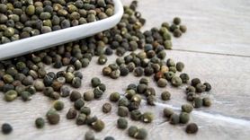 Bamya Tohumunun Faydaları ve Zararları