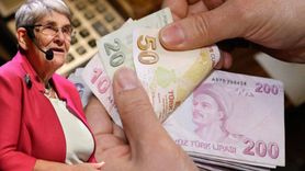 Canan Karatay'tan Yatırım Tavsiyesi: Zeytine Yatırım Yapan Ayakta Kalır