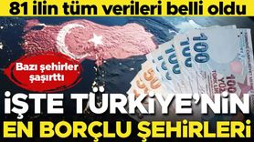 Türkiye'de Tasarruf ve Borçlanma Durumu