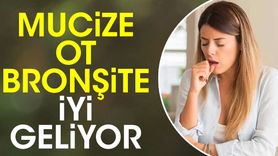 Mucize Ot Bronşite İyi Geliyor