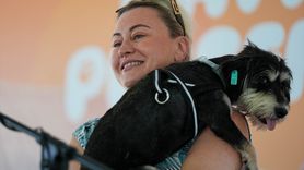 İzmir'de Yangın Mağduru Hayvanlar İçin Sahiplendirme Etkinliği Düzenlendi