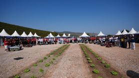 Tarımsal İnsansız Kara Araçları TEKNOFEST'te Yarışıyor