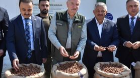 TMO Genel Müdürü Ahmet Güldal Ordu'da Fındık Alım Deposunu Ziyaret Etti