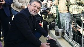 Tarım ve Orman Bakanı İbrahim Yumaklı'dan Sokak Hayvanları İçin Önemli Adım