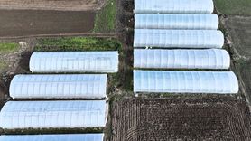 Edirne'deki Devlet Desteği İle Seracılıkta Büyük Artış