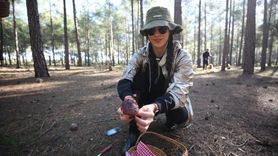 Mantar Meraklıları Antalya’da Toplandı