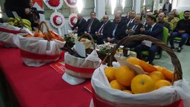 Mersin'de Yeni Mandalina ve Muz Çeşitleri Tescillendi