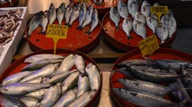 Trabzon'da Hamsi Fiyatları