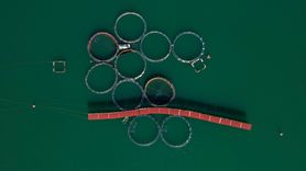 Van'daki Baraj ve HES'lerin Ekonomiye Katkısı