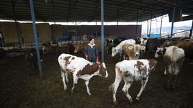 Girişimci Kadın Aydan İşci, Havacılıktan Hayvancılığa