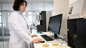 Koruma Altındaki Yerel Buğdaylar, Ticari Çeşitlerle Rekabet Edebilir