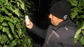 Mersin Çiftçileri Zirai Dona Karşı Sera Nöbetinde