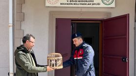 Afyonkarahisar'da Keklik Avına Cezai İşlem