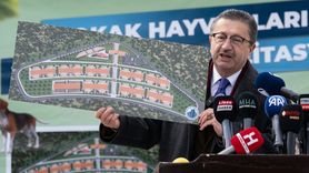 Altındağ Belediyesi'nden Sokak Hayvanlarına Yatırım