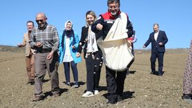 Bakan Yumaklı, Kastamonu'da Sarımsak Ekimine Katıldı