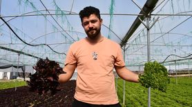 Bilecik'te Genç Çiftçi 10 Çeşit Marulu Akdeniz Salatasına Dönüştürüyor