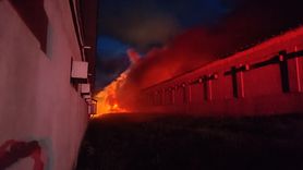 Bilecik'te Tavuk Çiftliğinde Yangın Çıktı