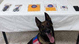 Denizli'de Uyuşturucu Operasyonu: 2 Tutuklama