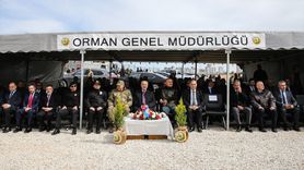 Dünya Ormancılık Günü'nde Fidan Dikimi Etkinlikleri