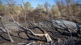 Kastabala Kuş Cenneti'nde Yangın Mücadelesi Sürüyor