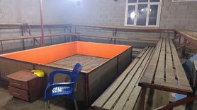 Mersin'de Horoz Dövüşüne 14 Kişiye Cezai İşlem