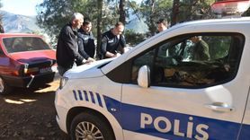 Mersin'de Sahipsiz Köpeklerin Saldırısı: 30 Küçükbaş Hayvan Telef Oldu