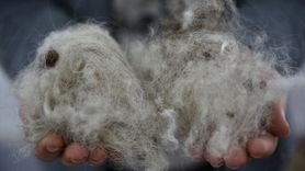 Muğla'da Kadınlar Atıl Yünleri Değerlendiriyor