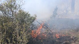 Sakarya'da Orman Yangını Kontrol Altına Alındı