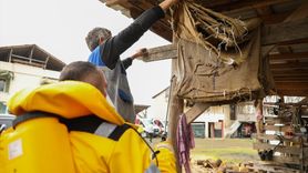 Samsun’da Kahverengi Kokarca İle Mücadele