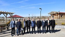 Sivas'ta Sokak Hayvanları için Rehabilitasyon Merkezi Kuruluyor