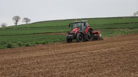 Tekirdağ'da Ayçiçeği Ekimi Başladı